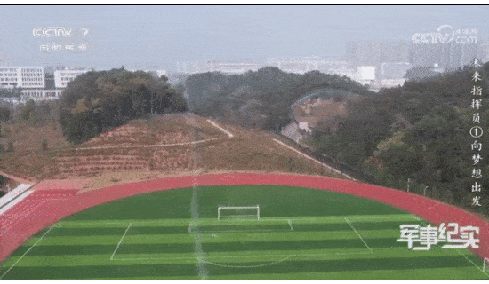 6.gif