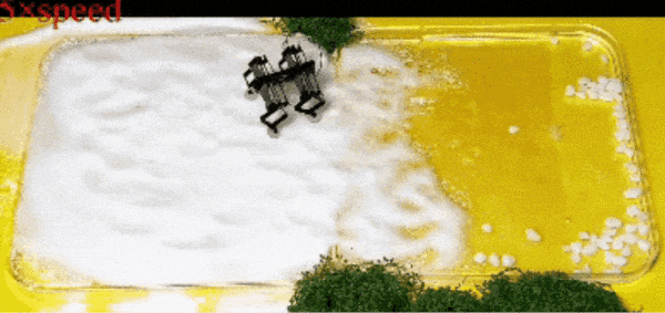 640.gif
